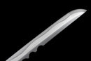Blodig skuggkatana - Assassin's Shadow