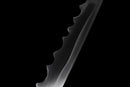 Blodig skuggkatana - Assassin's Shadow