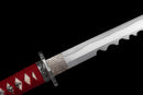 Blodig skuggkatana - Assassin's Shadow