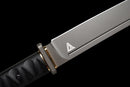 Espada Táctica Stealth Hawk Short Sword — Titanium Edition