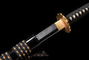 Katana Ryūō 龍皇刀