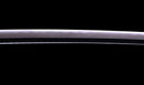 Katana Antigua Japonesa Ryokai Shigeyoshi - Hozon