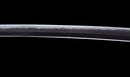 Katana Antigua Japonesa con Menuki de Libélula Tombo y Tsuba de Paisaje Sansui
