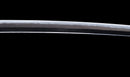Katana Antigua Japonesa con Menuki de Libélula Tombo y Tsuba de Paisaje Sansui