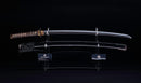 Katana Antigua Japonesa con Menuki de Libélula Tombo y Tsuba de Paisaje Sansui