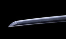 Katana Antigua Japonesa con Koshirae de Laca Negra y Tsuba de Hierro con Motivo de Plumas firmada Chikushi Tadamasa - Hozon
