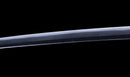 Katana Antigua Japonesa con Koshirae de Laca Negra y Tsuba de Hierro con Motivo de Plumas firmada Chikushi Tadamasa - Hozon