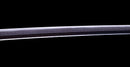 Katana Antigua Japonesa por Shitahara - NBTHK Hozon