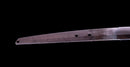 Katana Antigua Japonesa firmada Hitachi no Kami Muneshige, NBTHK Hozon