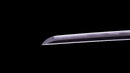 Katana Antigua Japonesa firmada Hitachi no Kami Muneshige, NBTHK Hozon