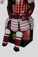 Samurai rustning aka